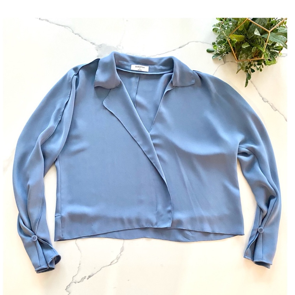 Aritzia Martin Blouse